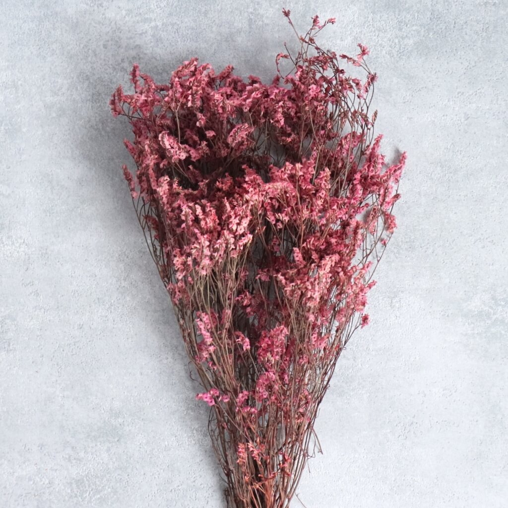 Sušená Statice (Limonka) – fialová květina vhodná do sušených aranžmá